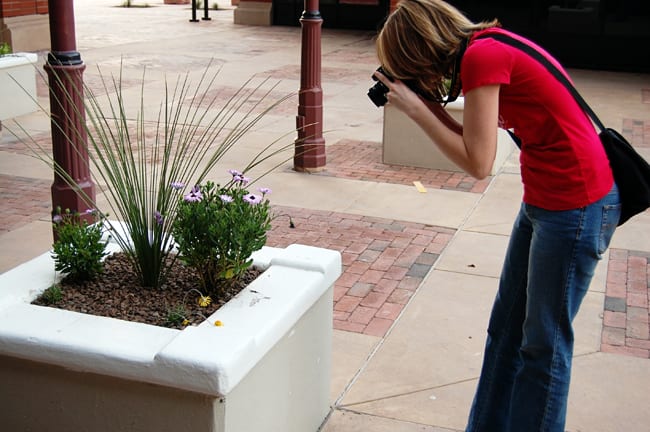 Photog at Work