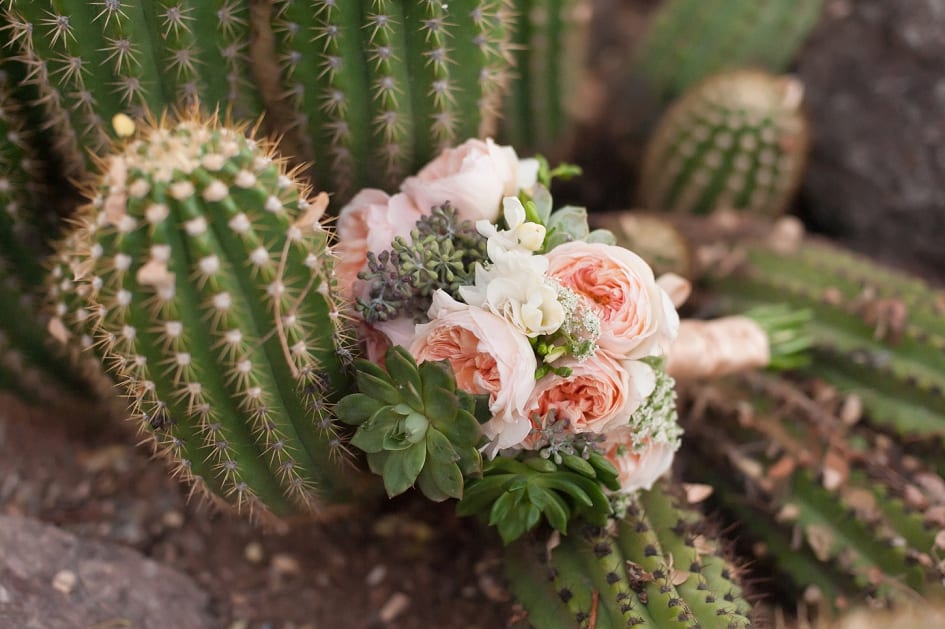 Desert Botanical Garden Wedding Photographers-03