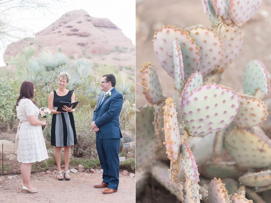 Desert Botanical Garden Wedding Photographers-11
