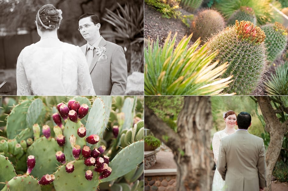 Desert Botanical Garden Wedding Photographers-25