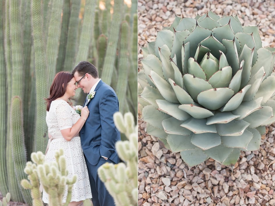 Desert Botanical Garden Wedding Photographers-35