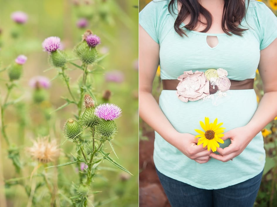 Flagstaff Maternity Photographer-13