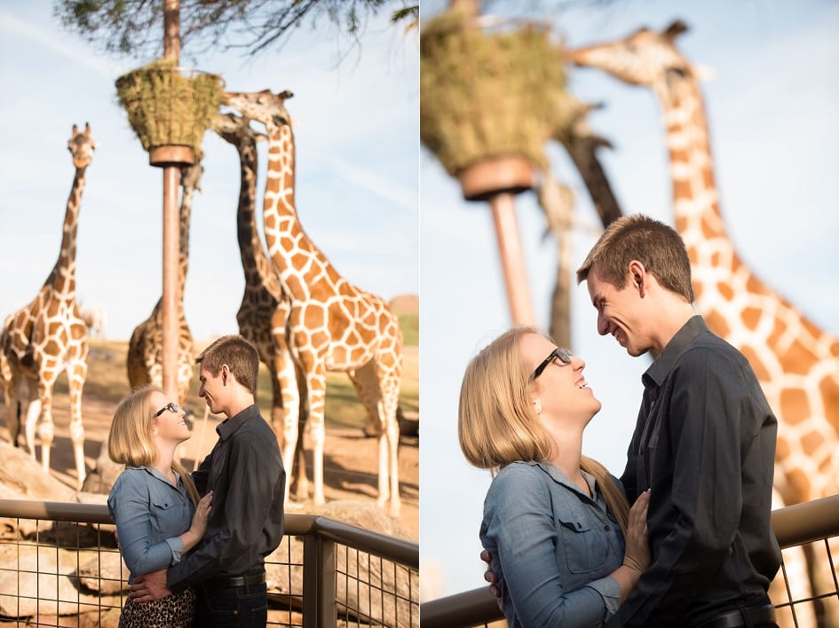 Phoenix Zoo Engagement Photographers-04