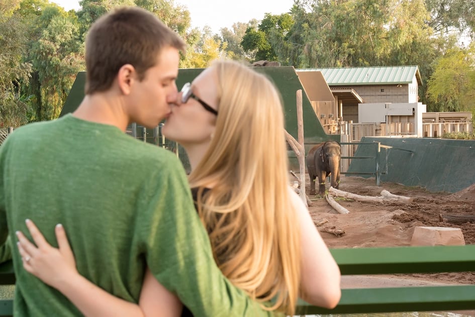 Phoenix Zoo Engagement Photographers-18