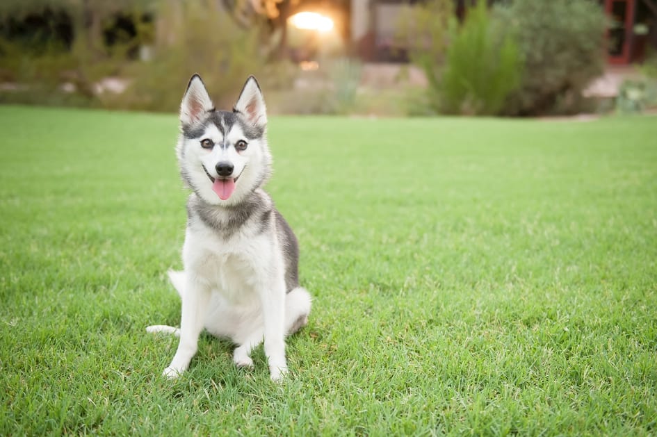 Scottsdale Portrait Photographer-12