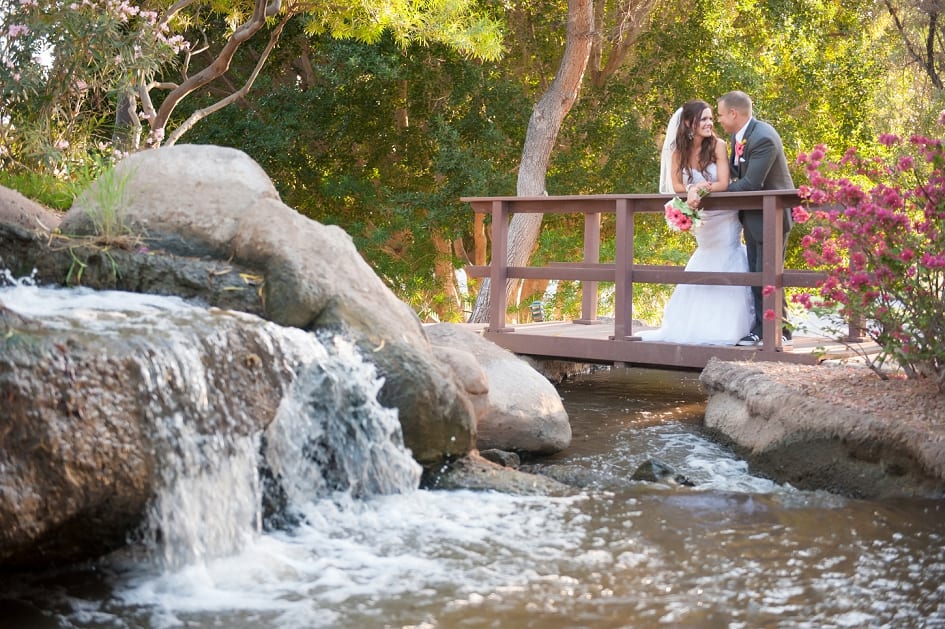 Val Vista Lakes Wedding Photos-33